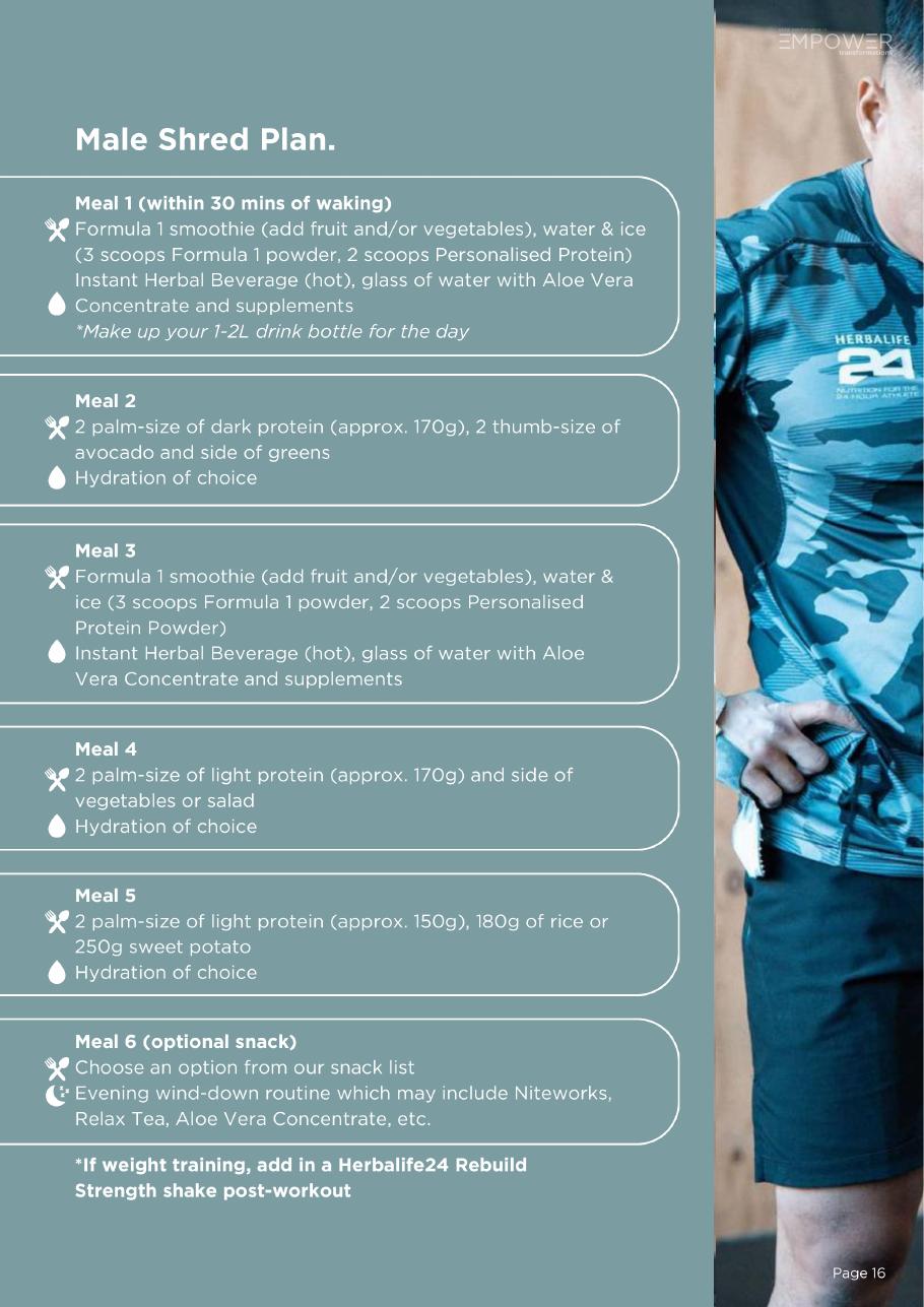 First page preview of Male Shred Plan