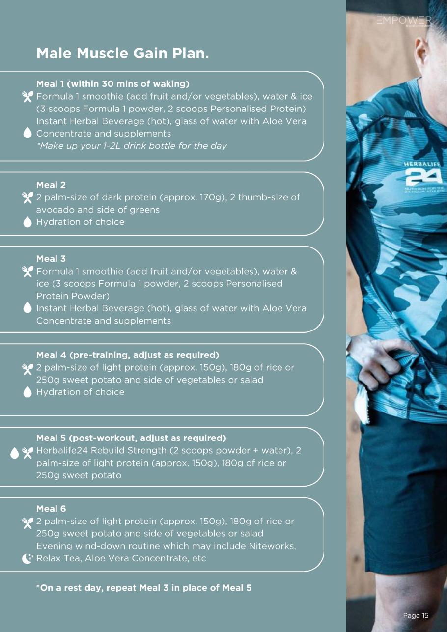 First page preview of Male Muscle Gain Plan